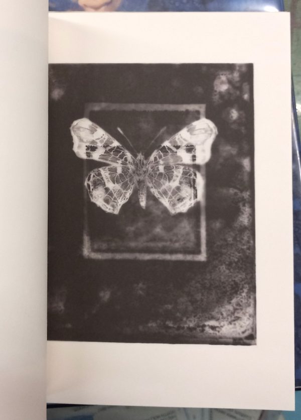 Untitled Akira Kitajima pages