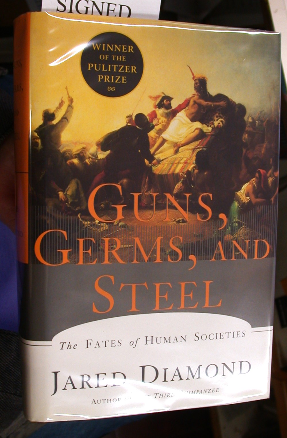 Guns Germs And Steel - Fates Of Human Societies - Jared Diamond - Vintage Paperback Book Non Fiction History Book - Preowned Good