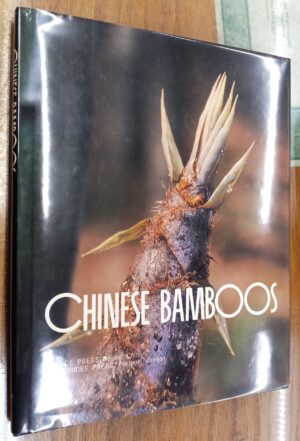 Chinese Bamboos jacket front