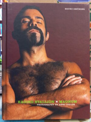 Raging Stallion front board